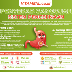 Gangguan sistem pencernaan