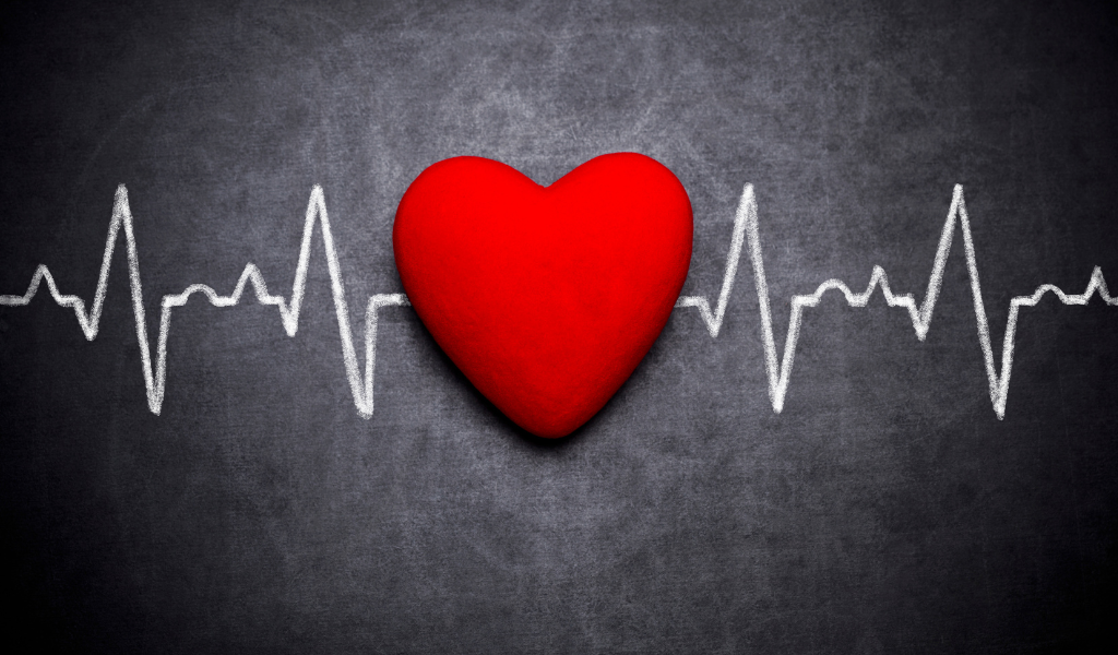 vitameal Berapa Heart Rate Normal