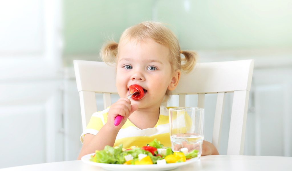 vitameal Akibat Kekurangan Zat Besi pada Anak