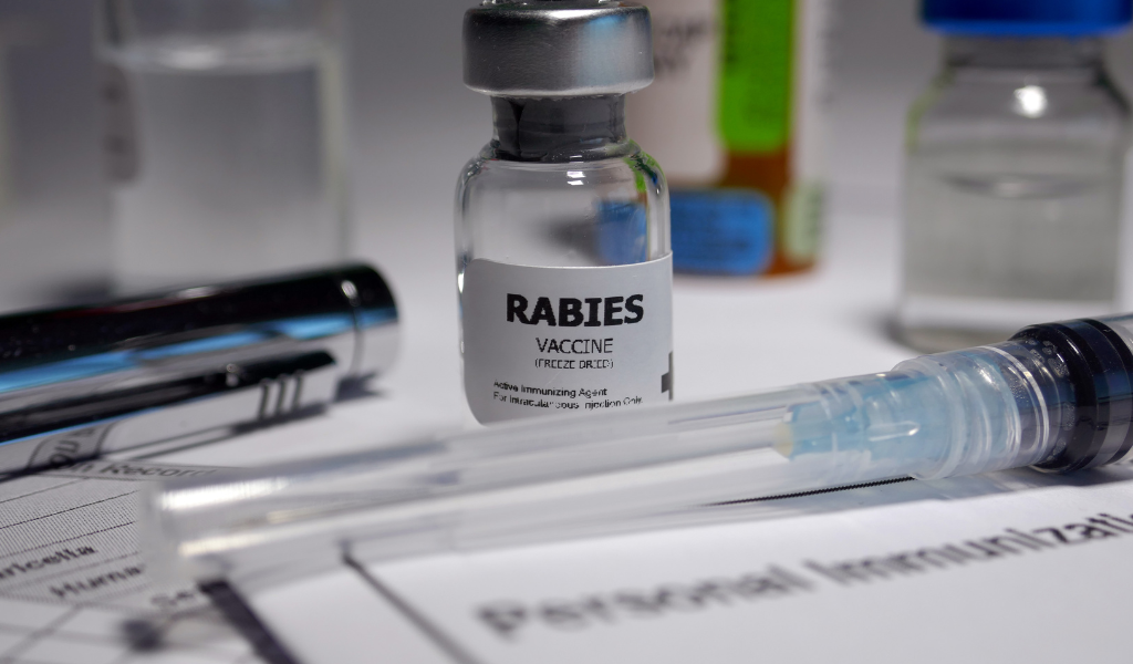 vaksin wajib untuk perjalanan internasional