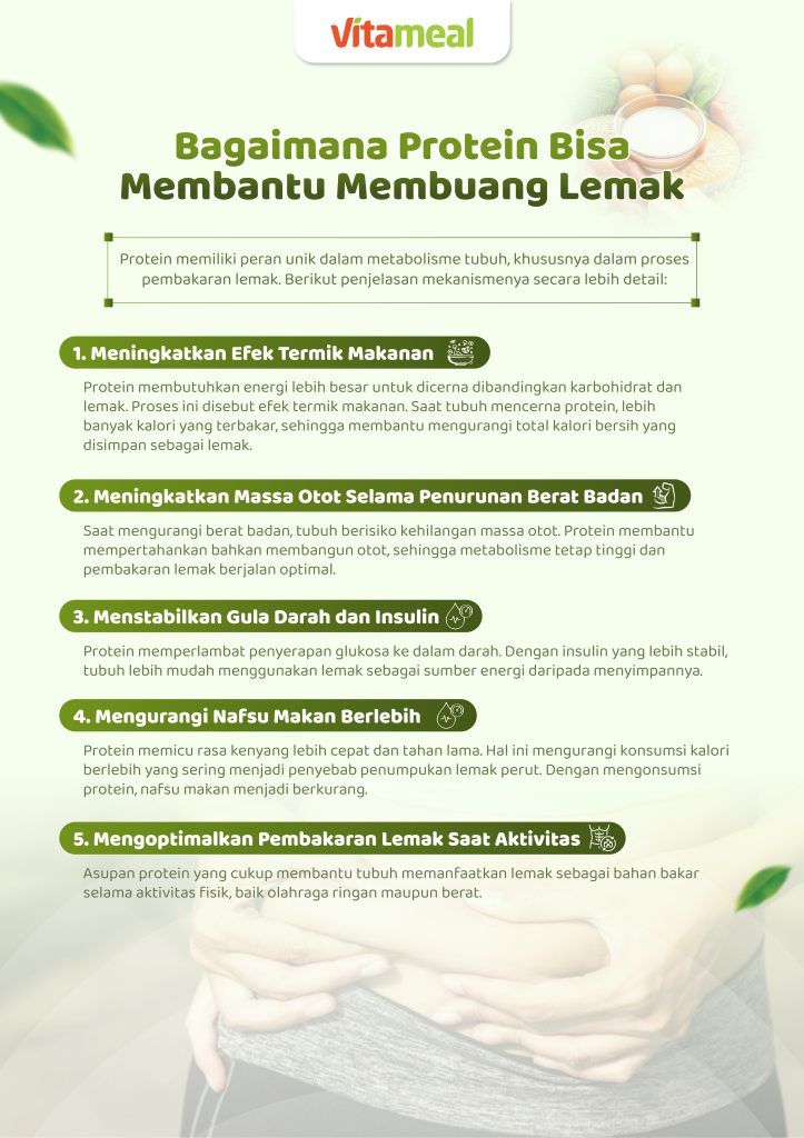 vitameal Sarapan Kaya Protein: Kunci Efektif Membantu Buang Lemak Perut dan Menjaga Energi Seharian