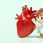 anatomi jantung