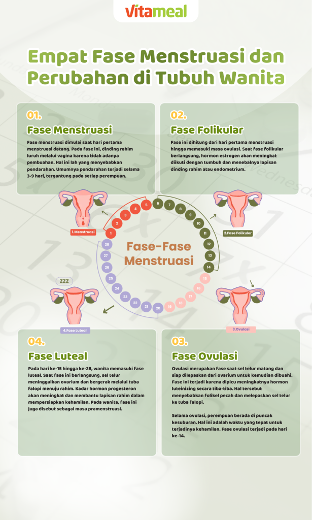 4 Fase Menstruasi: Kenali Hormon yang Memengaruhi Suasana Hati Wanita