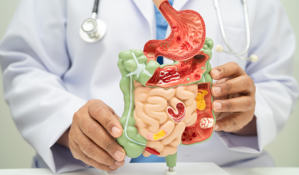 menjaga pencernaan saat puasa