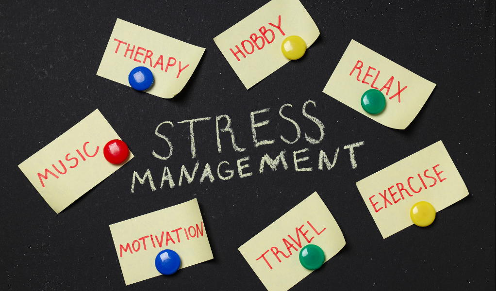 vitameal mengurangi lemak di perut