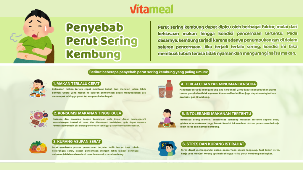 vitameal perut sering kembung