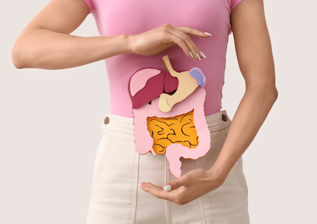 pencernaan sehat dengan vitameal mix berries